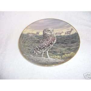  America collection by Danbury Mint Collector Plate: Everything Else
