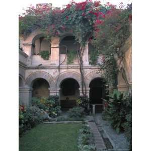  of the Camino Real Oaxaca Hotel, Bougainvillea and Garden, Mexico 