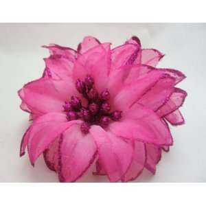   Glitter Poinsettia Flower Hair Clip PIn and Band, Limited.: Beauty