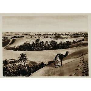  1924 Camel Desert Algeria Lehnert Landrock Photogravure 
