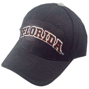  Florida Gators Black Front Runner Hat: Sports & Outdoors