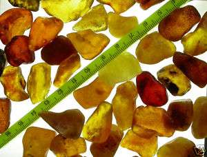 Unsearched rough Baltic fossil amber 20   30mm (30 gr.)  