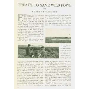  1914 McLean Bill Wild Fowl Game Bird Legislation 