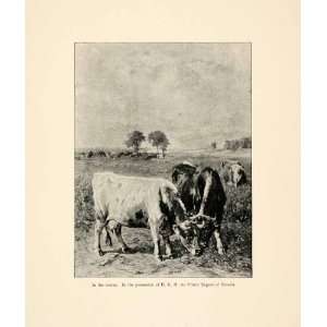  1899 Print Cattle Cow Scenery Landscape Downs Bavaria JHL 