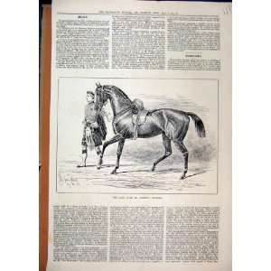   1884 Horse Duke Albany Charger Scottish Soldier Kilt: Home & Kitchen