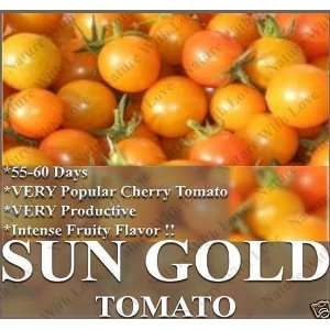  15 SUNGOLD SUN GOLD TOMATO SEEDS VERY PRODUCTIVE FRUITY 