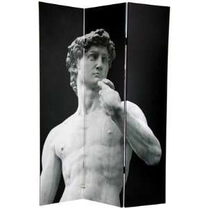   Double Sided Coliseum and David Canvas Room Divider: Furniture & Decor