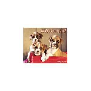  Just Boxer Puppies 2009 Wall Calendar: Office Products