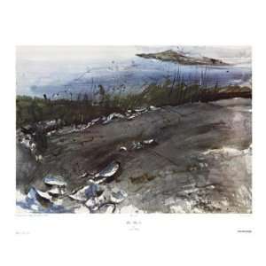  Blue Mussels   Poster by Andrew Wyeth (33.25x26)