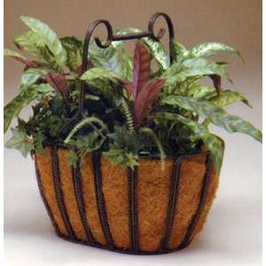  Deer Park iron Works Oval Twist Basket With Coco Liner 