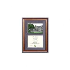  Tulane Green Wave Suede Mat Diploma Frame with Lithograph 