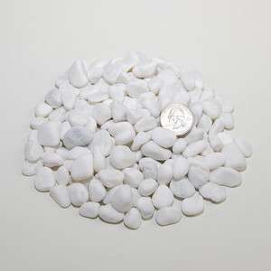 30 lbs Snow White Polished River Rock Pebble Stone Medium Size 0.8 1 
