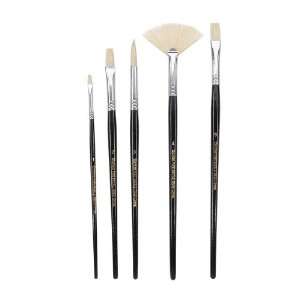  Darice 5 Piece Bristle Brush Set: Arts, Crafts & Sewing