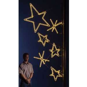  Holiday Lighting Specialists Premier Star Pole Decoration Light 