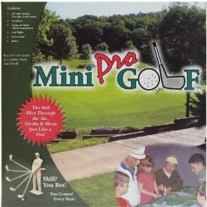  Mini Pro Table Top Golf Game: Sports & Outdoors