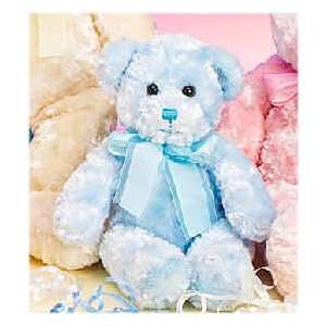    Blueberry Swirl Bear 13 by Princess Soft Toys: Toys & Games