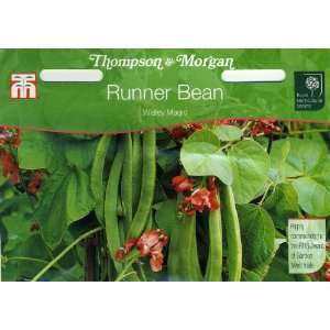   Bean Runner Bean Wisley Magic Double Seed Packet: Patio, Lawn & Garden