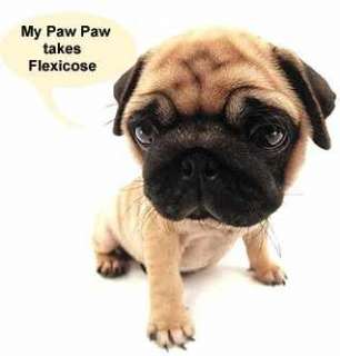 FLEXICOSE LIQUID GLUCOSAMINE FOR DOGS ARTHRITIS PAIN  