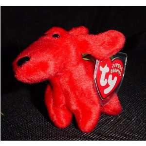  Ty Jingle Beanies   Rover the Red Dog: Toys & Games