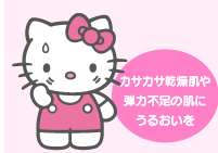 Rosette x Hello Kitty Collage Wash Cleanser 120g LIMIT  