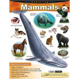  Chart Exploring Mammals Gr 1 5 Toys & Games
