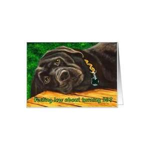  Funny Birthday ~ 38 Years Old ~ Labrador Dog Card: Toys 