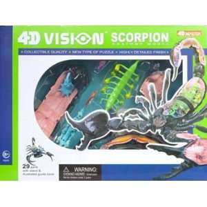  4D Vision   Scorpion Anatomy Kit (Science) Toys & Games