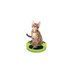   Feline Frenzy Kitty Mouse Toy & Cat Scratch Pad Scratche: Pet Supplies