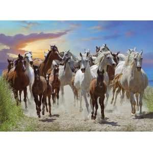  Running Free   500 Pieces Jigsaw Puzzle By Ravensburger 