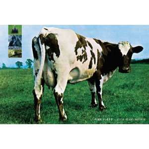  Pink Floyd Atom Heart Mother Poster 24915: Patio, Lawn 