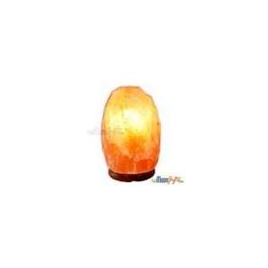   Salt Lamps Therapeutic Special Quality ~ Tiny: Health & Personal Care