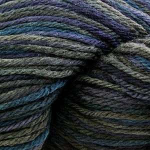  Cascade 220 Wool Yarn Paints   Thunder