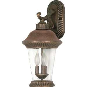  Nuvo 60/967 Arm Down, Wall Lantern with Clear Seed Glass, Platinum 