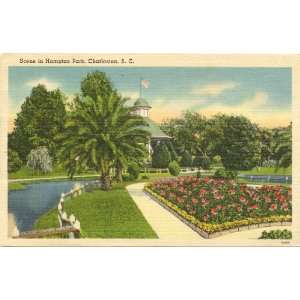   Vintage Postcard   Scene in Hampton Park   Charleston South Carolina