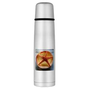  Large Thermos Bottle Sea Shell and a Starfish: Everything 