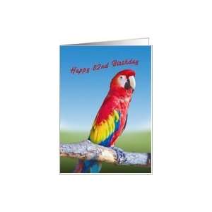  Birthday, 82nd, Macaw Parrot Card: Toys & Games