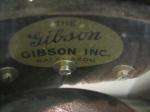 1926 THE GIBSON 4 String Tenor Banjo #8412 4 Style 1 W/Hard & Soft 