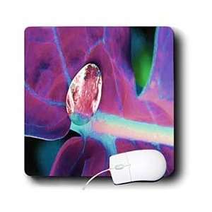  Yves Creations Colorful Leaves   Iridescent Pink Leaf 