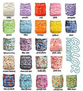 10 PAPOOSE One Size Cloth nappies +10 Inserts 11 Colors  