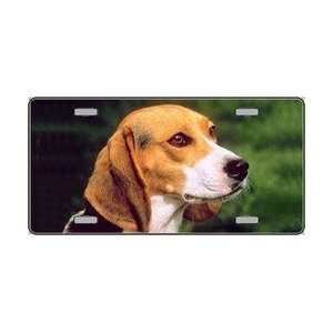   Dog Pet Novelty License Plates  Full Color Photography License Plates
