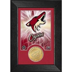   Phoenix Coyotes Bronze Coin Team Mini Mint