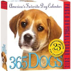  365 Dogs 2012 Daily Box Calendar