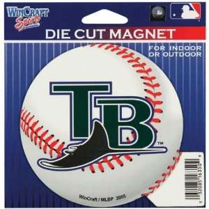   Rays   Baseball Logo In/Out Magnet MLB Pro Baseball