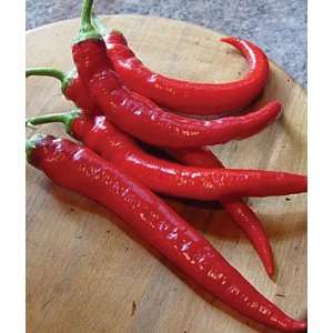  Pepper, Hot Large Red Cayenne 1 Pkt. Patio, Lawn & Garden