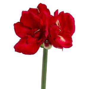   Red Amaryllis Silk Flower Sprays 32 