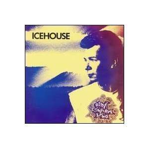  Great Southern Land [Vinyl] Icehouse Music