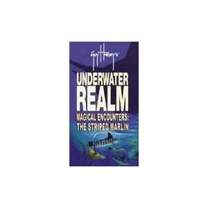 Bennett DVD Guy Underwater Realm Magical Encounters The Striped 