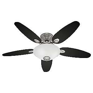 Paxton Ceiling Fan by Hunter Fans: Home Improvement