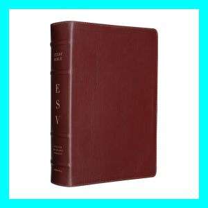 ESV Study Bible Premium Calfskin Leather Cordovan Brown  