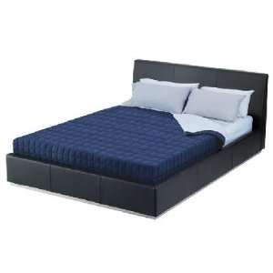  Queen Bed in Stainless Steel Nuevo Bed Collection